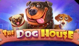 The Dog House pokie at Bitdreams Casino